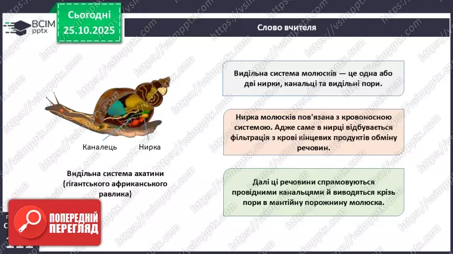 №028 - Виділення як властивість живого. Еволюція видільної системи тварин.14 №028 - Виділення як властивість живого. Еволюція видільної системи тварин.14