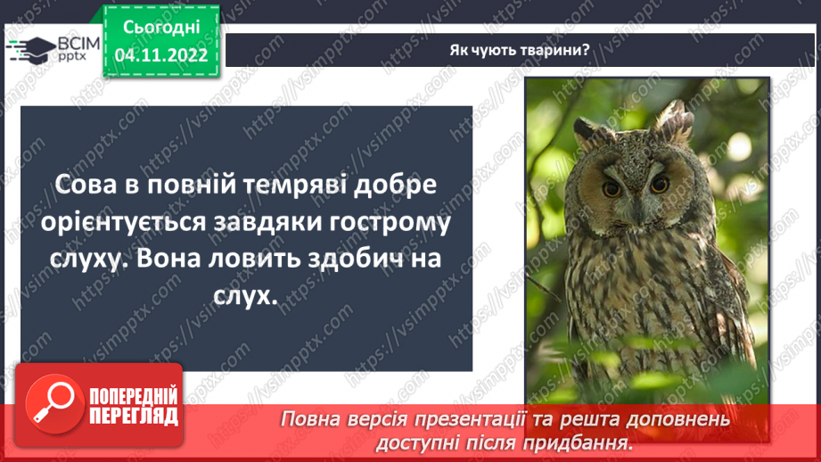 №23 - Чим важливі звукові явища у природі та житті людини. Виникнення звуку та його поширення на відстані.10 №23 - Чим важливі звукові явища у природі та житті людини. Виникнення звуку та його поширення на відстані.10