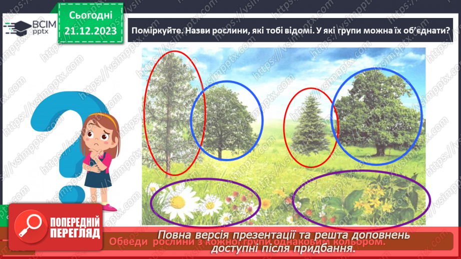 №051 - Які бувають рослини19 №051 - Які бувають рослини19