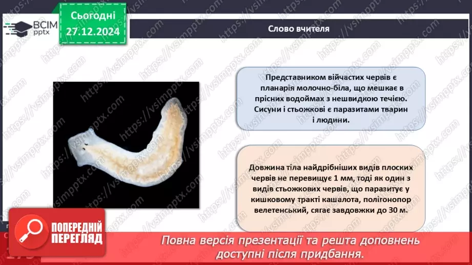 №51 - Плоскі черви.7