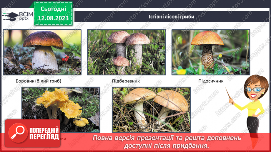 №42 - Ліс як джерело їжі (гриби, ягоди, мед тощо).6