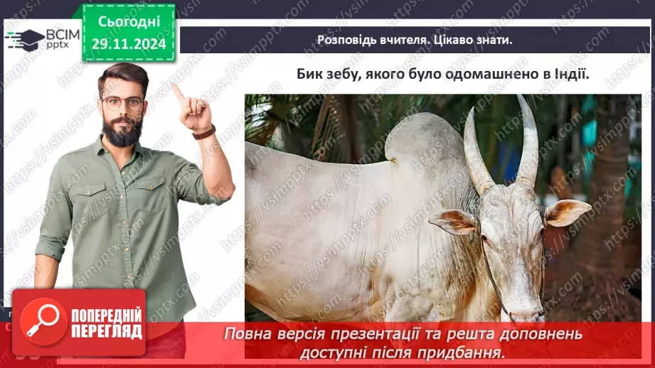 №27 - Ведійський період в  історії Індії8 №27 - Ведійський період в  історії Індії8