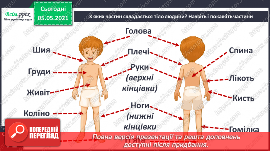 №049 - Тіло людини та його функції.20