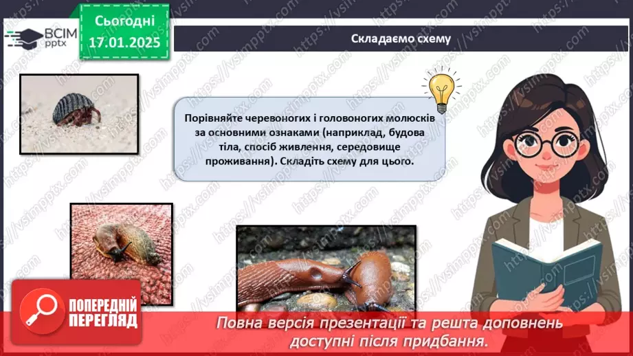 №53 - Молюски (продовження).7 №53 - Молюски (продовження).7