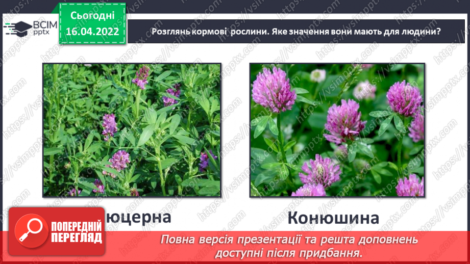 №088 - Рослинництво в рідному краї11