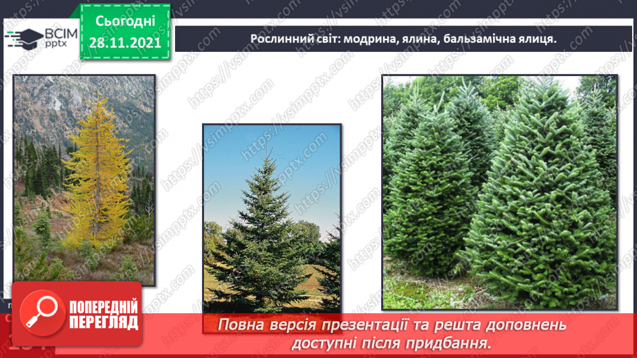 №042 - У чому виявляються особливості рослинного й тваринного світу Північної Америки?16