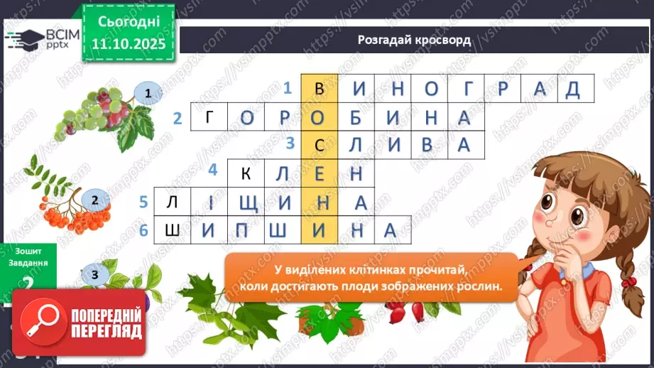 №024 - Рослини восени.16 №024 - Рослини восени.16