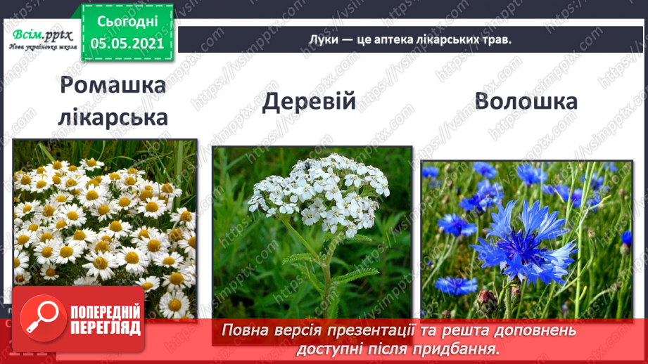 №095 - Ясніє в кожній квітці дивина.12 №095 - Ясніє в кожній квітці дивина.12
