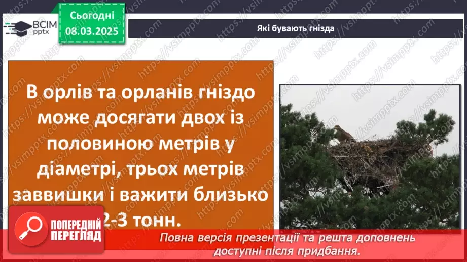№0076 - Чому птахи в’ють гнізда15 №0076 - Чому птахи в’ють гнізда15