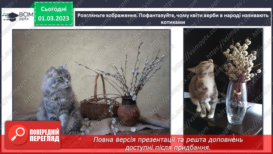 №026 - Виготовлення аплікації із ватних паличок «Вербові гілочки»7 №026 - Виготовлення аплікації із ватних паличок «Вербові гілочки»7