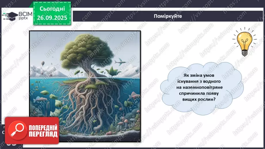 №018 - Вищі спорові рослини: папороті та хвощі. Їхнє значення в екосистемах і використання.19 №018 - Вищі спорові рослини: папороті та хвощі. Їхнє значення в екосистемах і використання.19