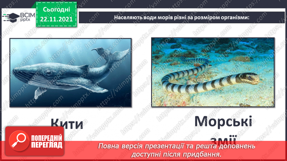 №014 - Виготовлення фігурки одного з мешканців моря6