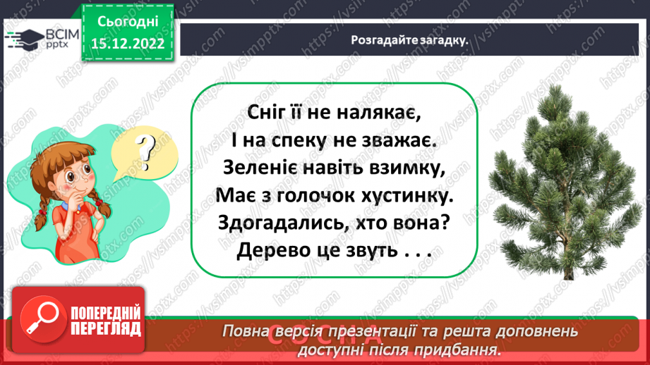 №0052 - Листяні і хвойні рослини3 №0052 - Листяні і хвойні рослини3
