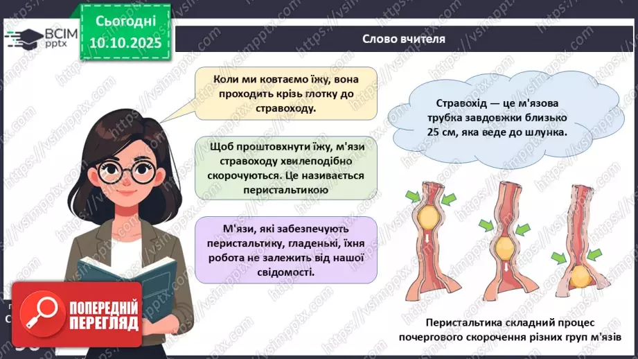 №023 - Будова й функції травної системи людини. Травлення в ротовій порожнині та шлунку.12 №023 - Будова й функції травної системи людини. Травлення в ротовій порожнині та шлунку.12