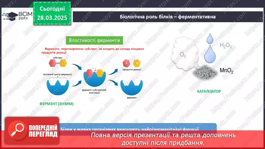 №29-30 - Білки.16 №29-30 - Білки.16