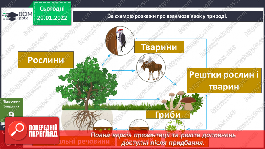 №058 - Які невидимі зв’язки є у природі? Комікс: «Чому говорять, що правда вийде нагору, як олія з води?»24