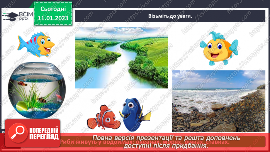 №0056 - Риби5 №0056 - Риби5