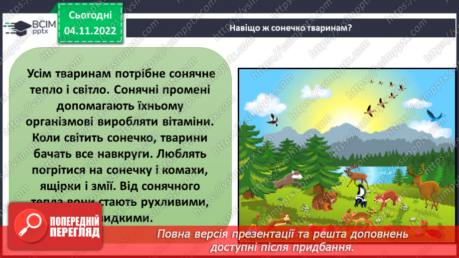 №24-25 - Як дослідити світлові явища. Утворення тіні. Роль світла в природі й житті людини.17