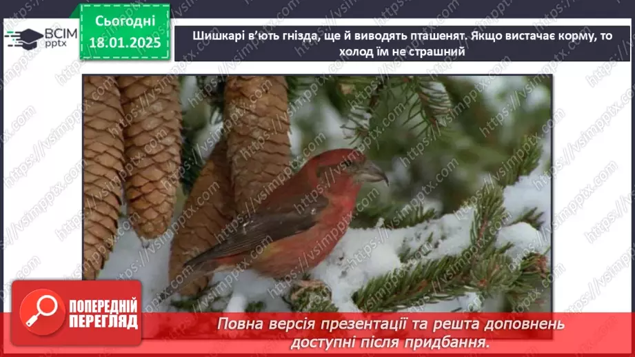 №0055 - Як зимують птахи та звірі11 №0055 - Як зимують птахи та звірі11