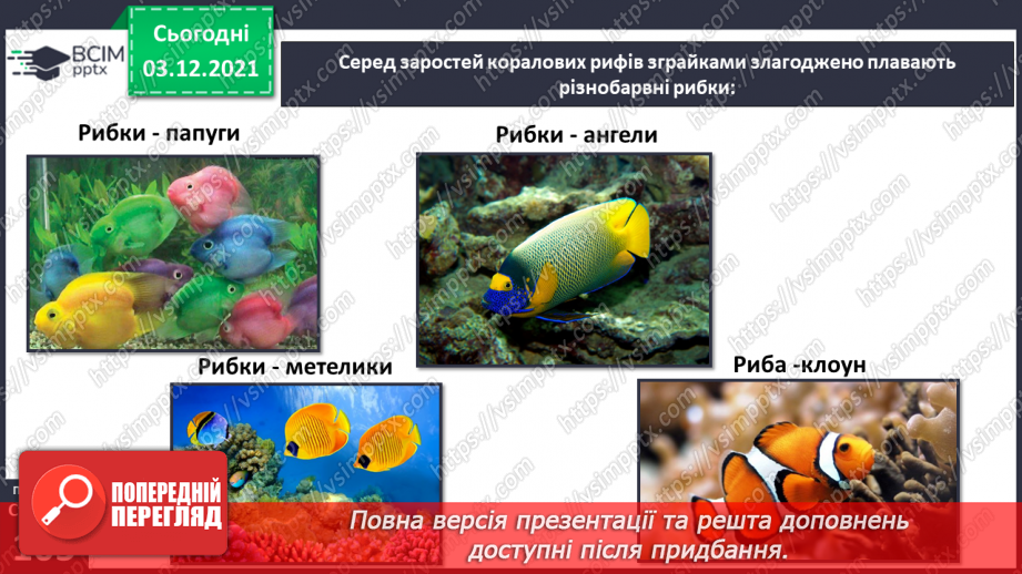 №045-47 - Океани Землі. Особливості природи океанів.12 №045-47 - Океани Землі. Особливості природи океанів.12