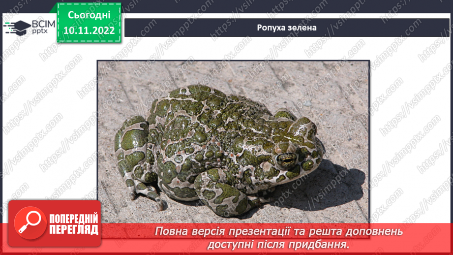 №038 - Риби, земноводні та плазуни.13 №038 - Риби, земноводні та плазуни.13