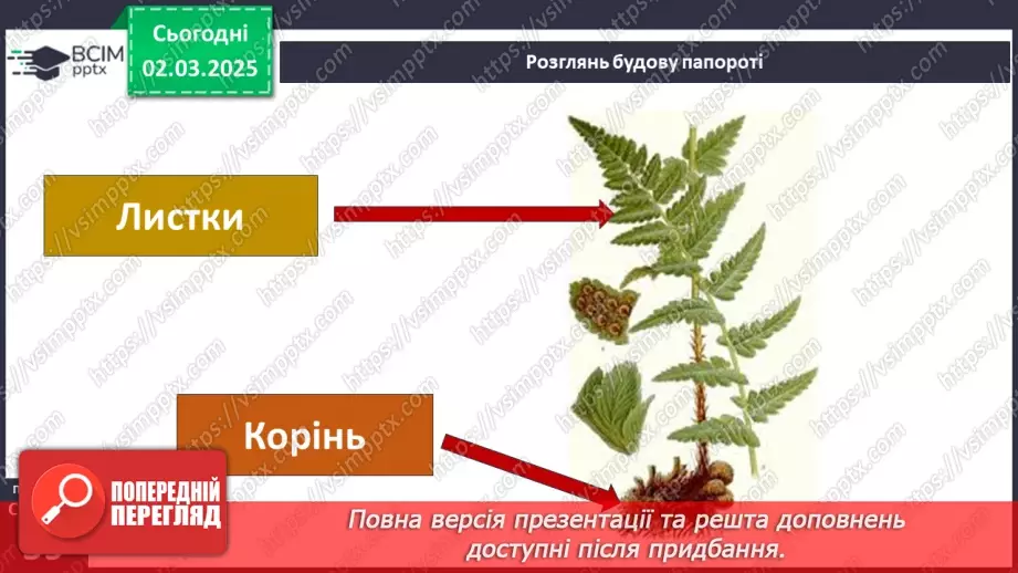№074 - Різноманітність рослин. ст.59-6115