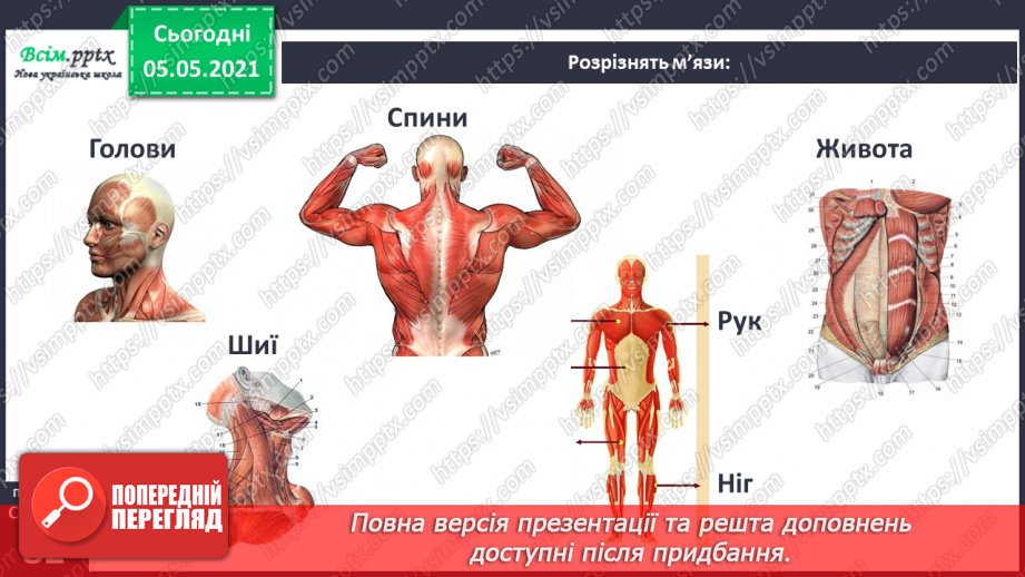 №061 - Як ти рухаєшся? Практична робота.9 №061 - Як ти рухаєшся? Практична робота.9