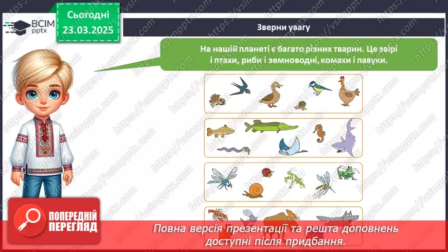 №082 - У світі тварин. Дорослі та дитинчата. Стадії розвитку тварин.5 №082 - У світі тварин. Дорослі та дитинчата. Стадії розвитку тварин.5