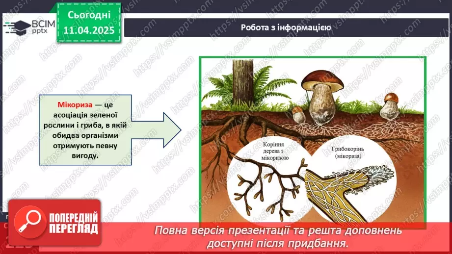 №76 - Значення грибів у природі. Паразитичні гриби.11 №76 - Значення грибів у природі. Паразитичні гриби.11