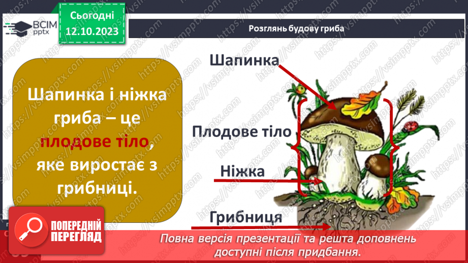 №024 - Осінь - грибна пора7 №024 - Осінь - грибна пора7