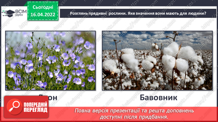 №088 - Рослинництво в рідному краї13