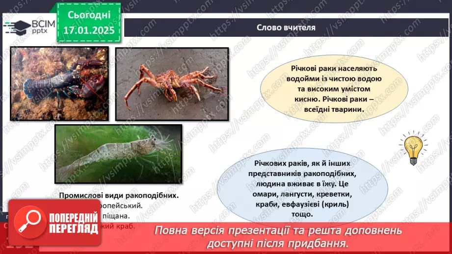 №55 - Членистоногі - безхребетні тварини із зовнішнім скелетом. Ракоподібні.17