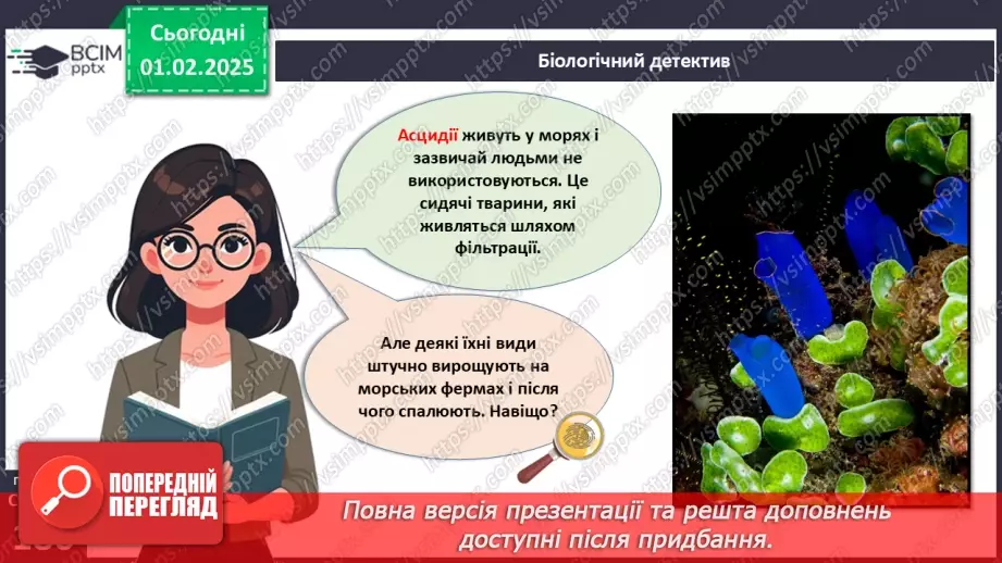 №58 - Хордові.4 №58 - Хордові.4