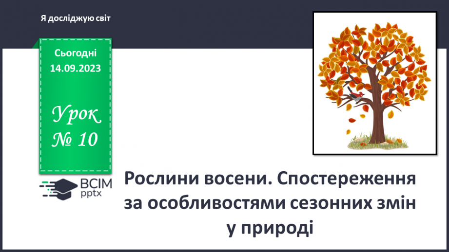 №010 - Рослини восени. Спостереження за особливостями сезонних змін у природі.0