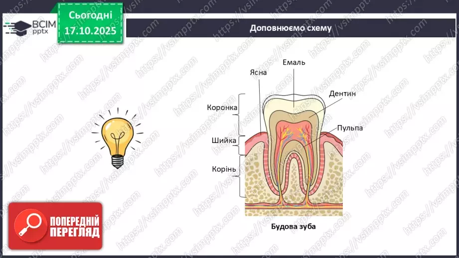 №027 - Узагальнення вивченого з теми: «Живлення як властивість живого. Будова й функції травної системи людини».22 №027 - Узагальнення вивченого з теми: «Живлення як властивість живого. Будова й функції травної системи людини».22