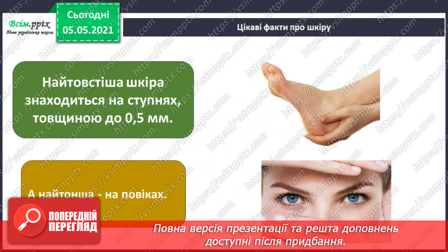№087 - Орган дотику.23