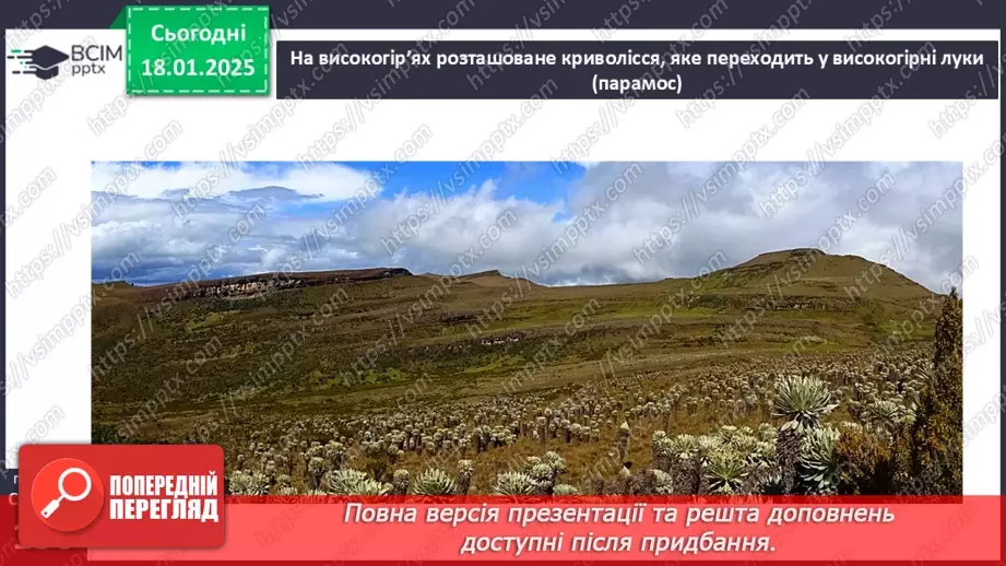 №37 - У чому особливість природних зон Південної Америки.25