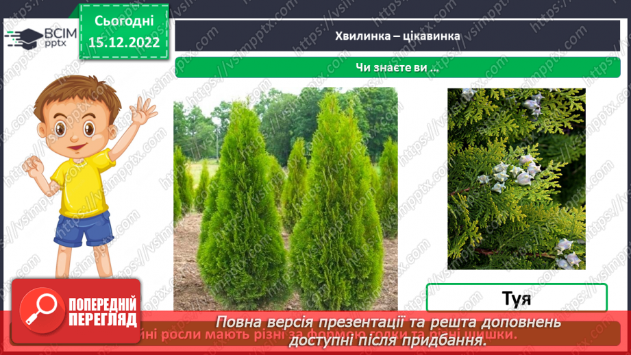 №0052 - Листяні і хвойні рослини16 №0052 - Листяні і хвойні рослини16