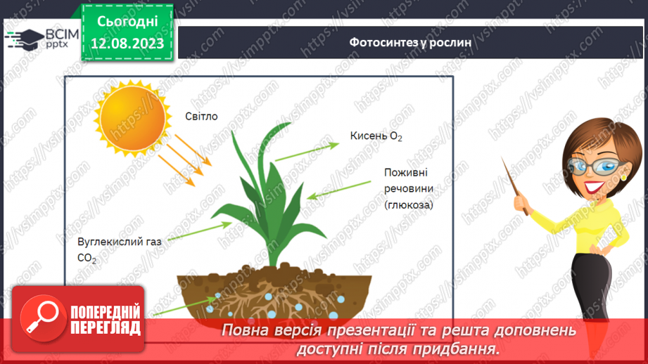 №41 - Ліс та його багатства. Ліс як джерело кисню, поняття про фотосинтез.7 №41 - Ліс та його багатства. Ліс як джерело кисню, поняття про фотосинтез.7