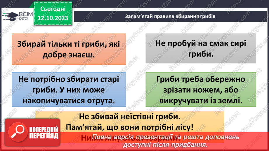 №024 - Осінь - грибна пора21 №024 - Осінь - грибна пора21