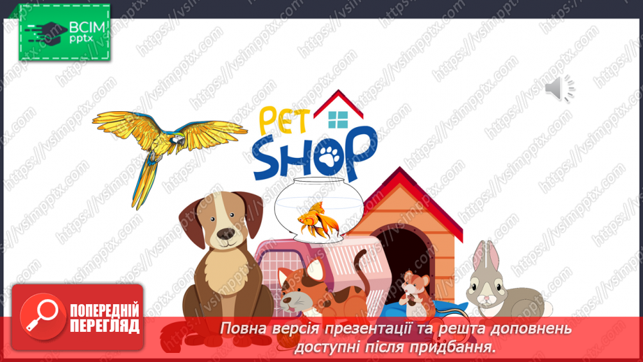 №33 - My pets7