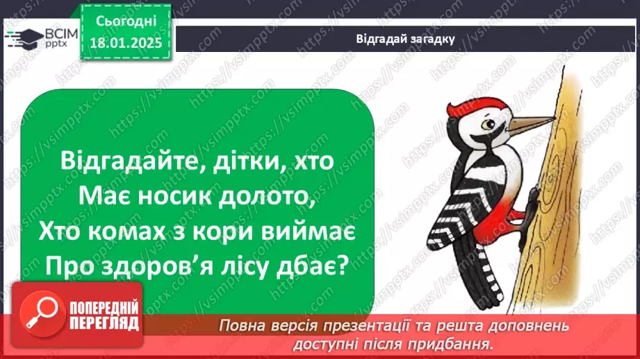 №0055 - Як зимують птахи та звірі12 №0055 - Як зимують птахи та звірі12