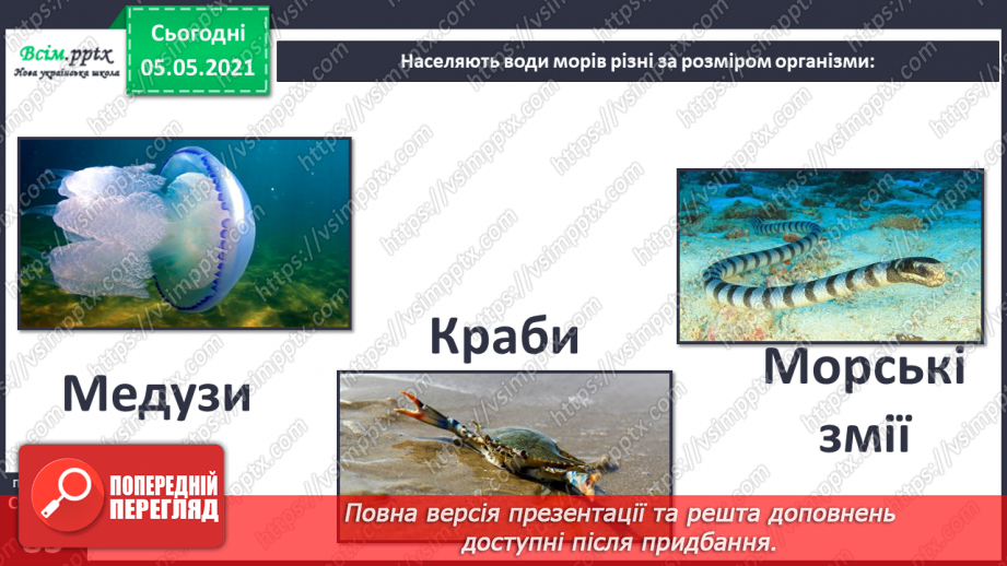 №053-54 - Природне угруповання—море. Подорож- спостереження «Природне угруповання нашої місцевості»9 №053-54 - Природне угруповання—море. Подорож- спостереження «Природне угруповання нашої місцевості»9