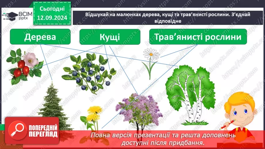 №012 - Якими бувають рослини. Як розрізняють рослини31