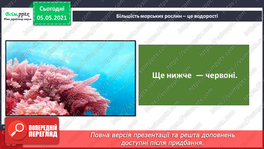 №053-54 - Природне угруповання—море. Подорож- спостереження «Природне угруповання нашої місцевості»7 №053-54 - Природне угруповання—море. Подорож- спостереження «Природне угруповання нашої місцевості»7