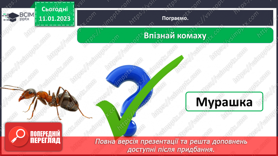 №0055 - Комахи20 №0055 - Комахи20