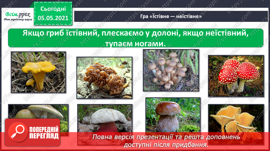№049 - Гриби.28 №049 - Гриби.28