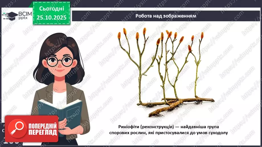 №028 - Загальний огляд еволюції рослин. Порівняння особливостей мохів, папоротей, голонасінних і покритонасінних рослин.20 №028 - Загальний огляд еволюції рослин. Порівняння особливостей мохів, папоротей, голонасінних і покритонасінних рослин.20