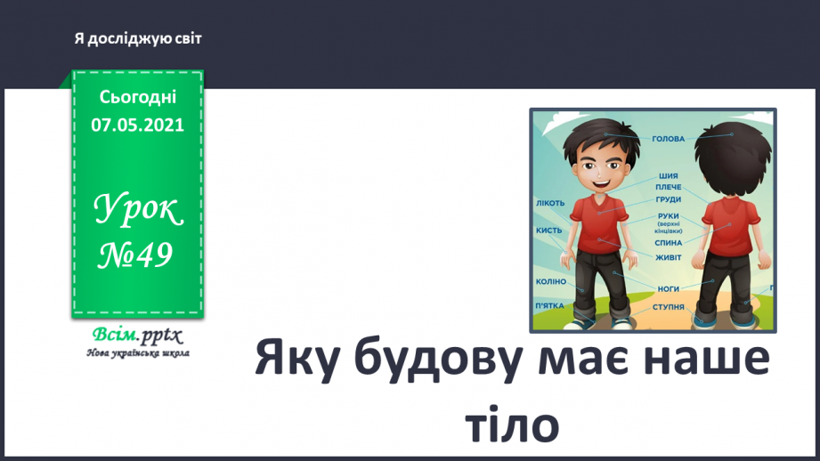 №049 - Яку будову має наше тіло0 №049 - Яку будову має наше тіло0