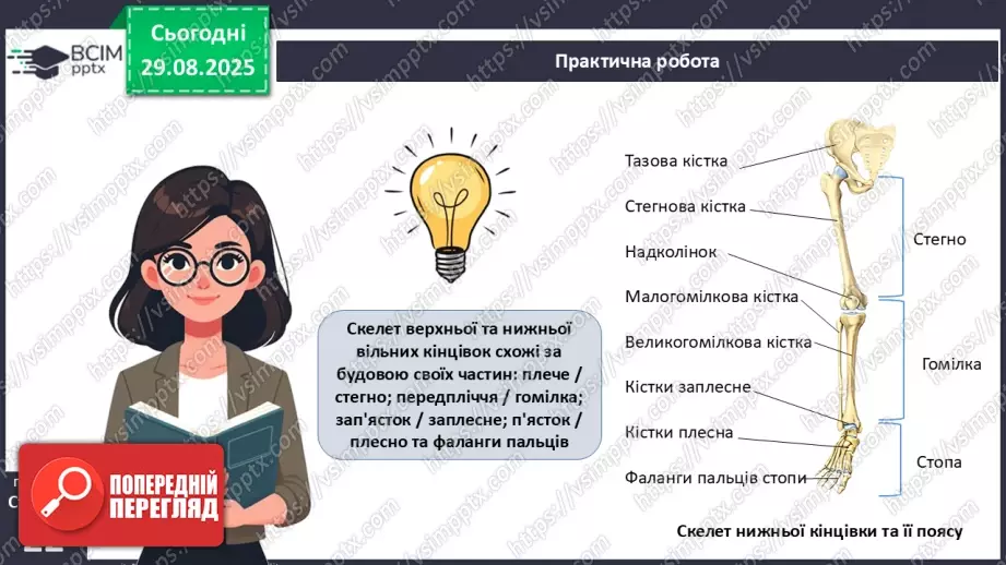 №005 - Будова, функції та особливості скелета людини.17 №005 - Будова, функції та особливості скелета людини.17